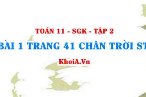Bài 1 trang 41 Toán 11 Tập 2 Chân trời sáng tạo